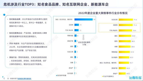 品牌大咖說 互聯網銷售時代，仲景食品與新能源車為何成為企業輿情危機高發區