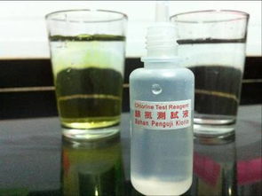 科士威 解讀其模式、現狀與加入方式